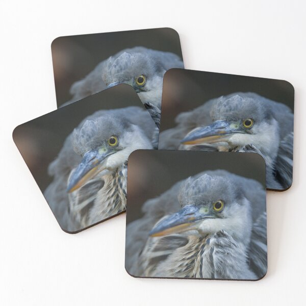 Item preview, The Intense Gaze of a Grey Heron in Close-Up designed and sold by rawshutterbug.