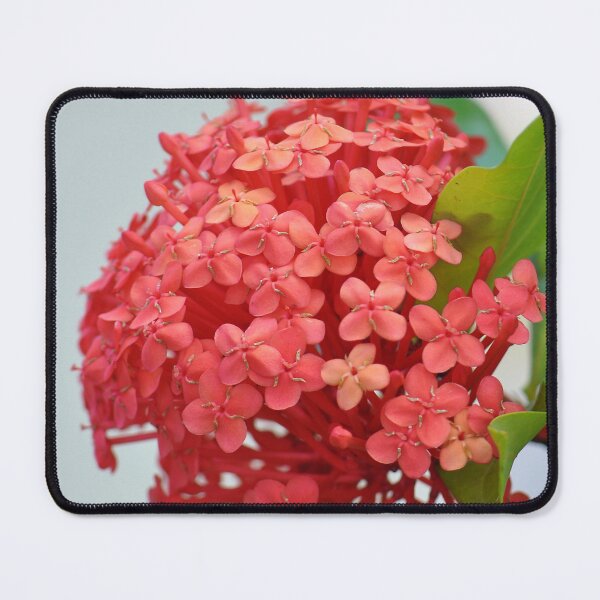 Item preview, Flame of the Woods Shrub Flower bunch  designed and sold by IPPhotography.