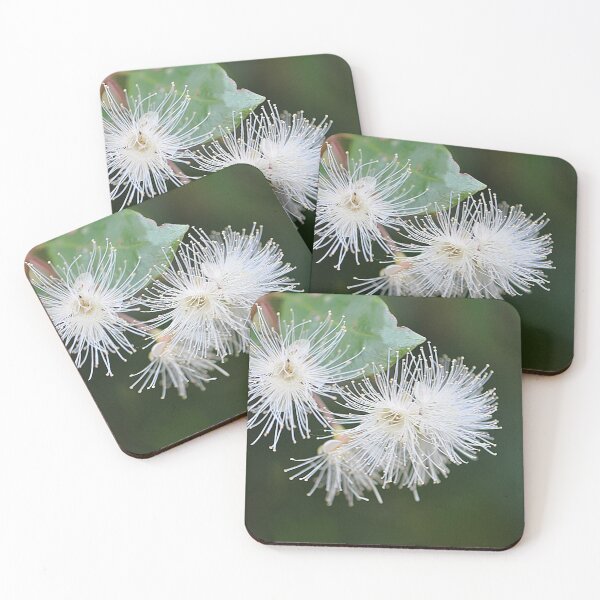 Item preview, Lovely delicate fluffy Brush Cherry Flowers designed and sold by IPPhotography.