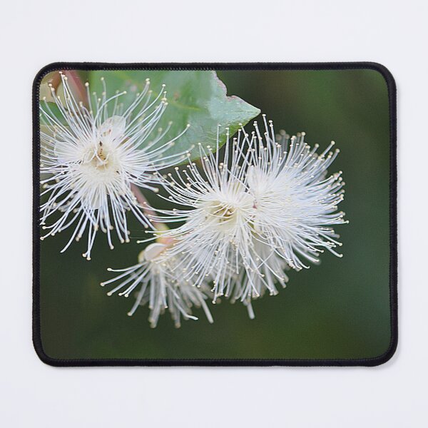Item preview, Lovely delicate fluffy Brush Cherry Flowers designed and sold by IPPhotography.