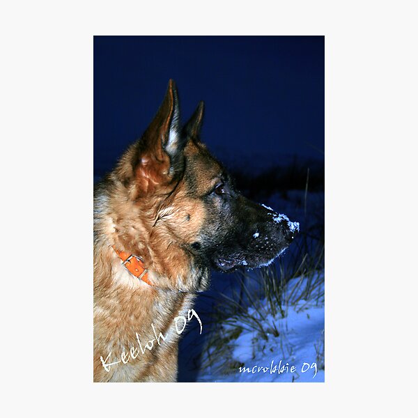 Keeloh Photographic Print