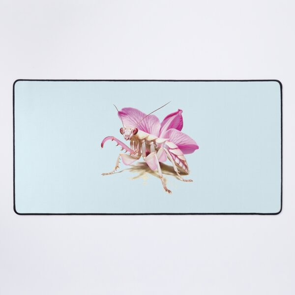Item preview, praying mantis | Orchid mantis designed and sold by DerSenat.