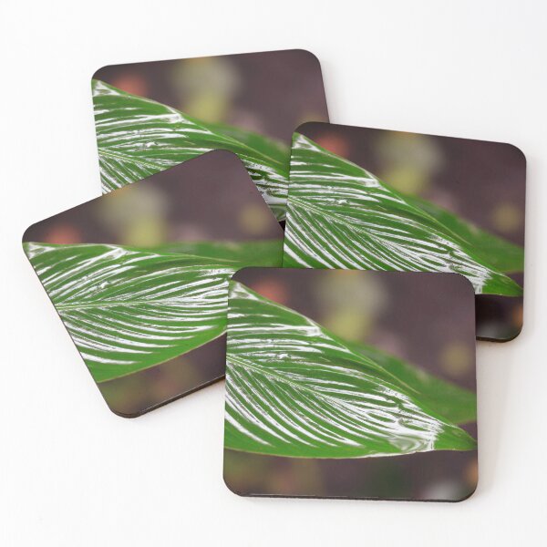 Item preview, Wet leaves in the garden designed and sold by olena2552.