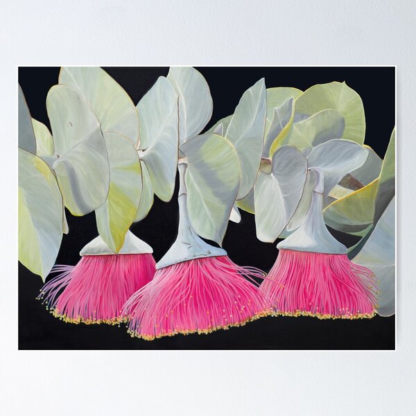 Item preview, Blush Whispers - Eucalyptus Rhodantha designed and sold by HayleyKruger.