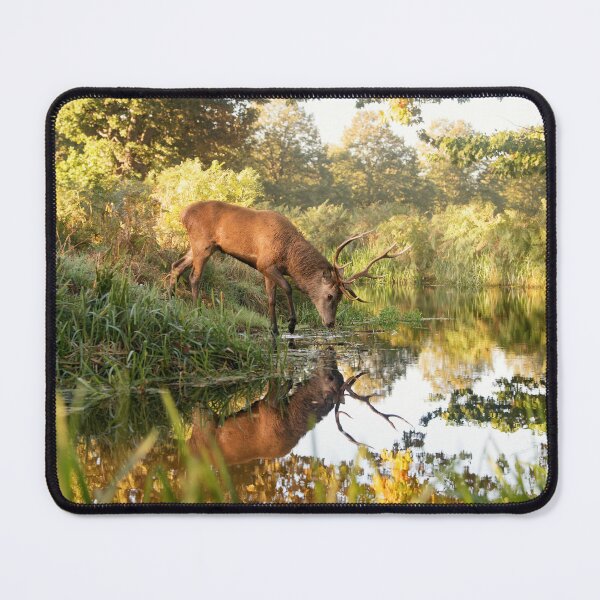 Item preview, Stag poised on mirror lake designed and sold by Junkyardmax.