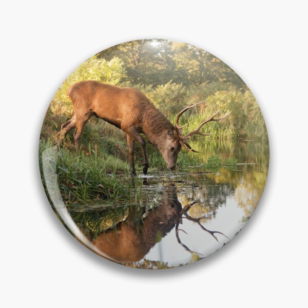 Item preview, Stag poised on mirror lake designed and sold by Junkyardmax.