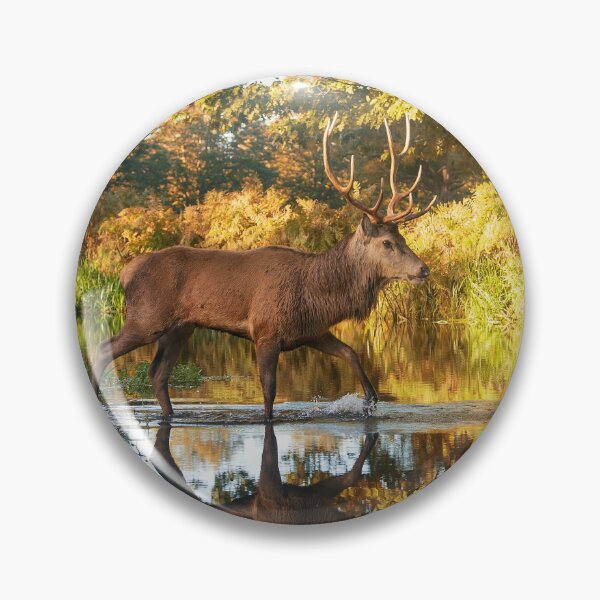 Item preview, Stag in autumn scene walks through shallow stream designed and sold by Junkyardmax.