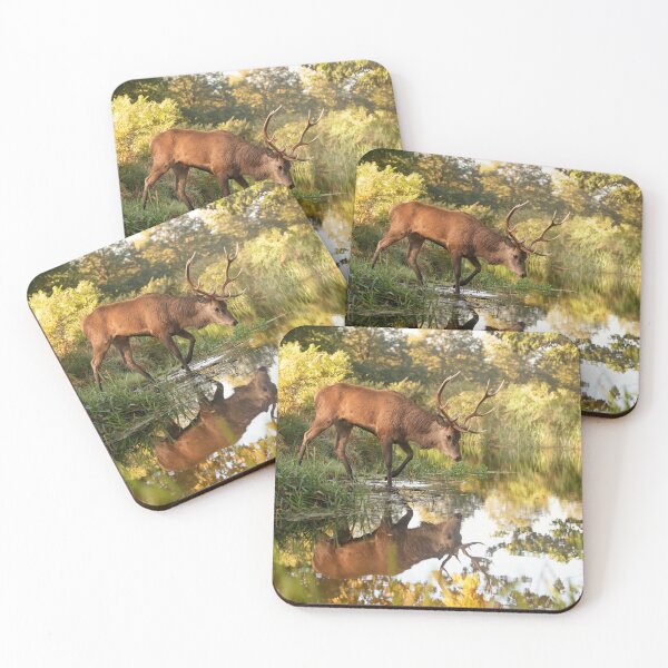 Item preview, Red deer stag crossing mirror lake designed and sold by Junkyardmax.