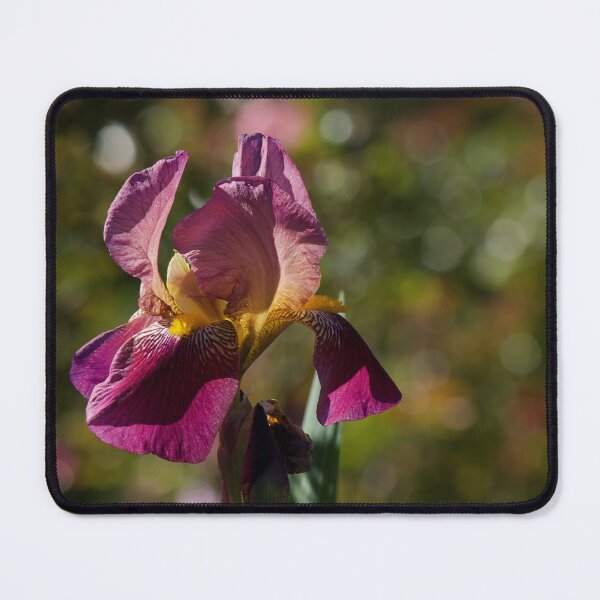 Item preview, Iris designed and sold by Kim Chi Thai.