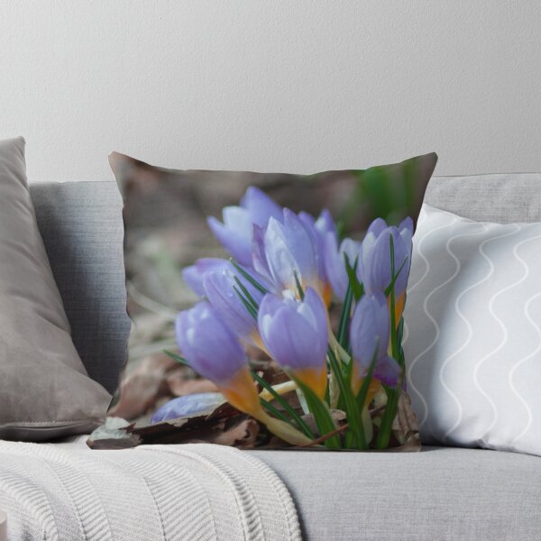 Item preview, Crocus etruscus in silva designed and sold by creefot.