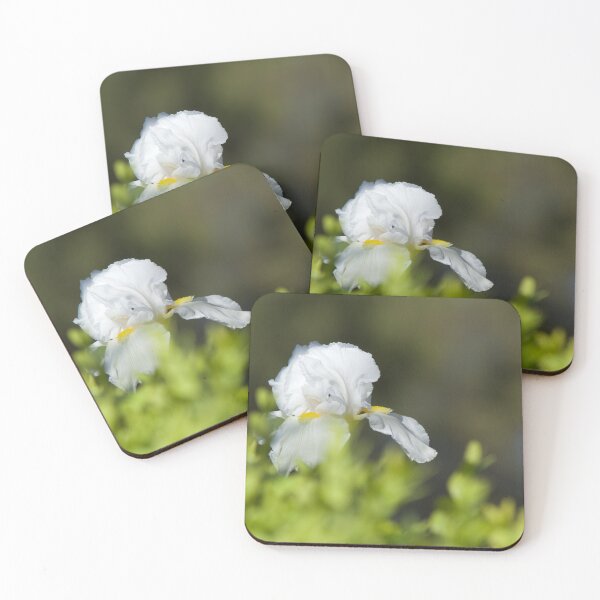Item preview, Iris designed and sold by Kim Chi Thai.