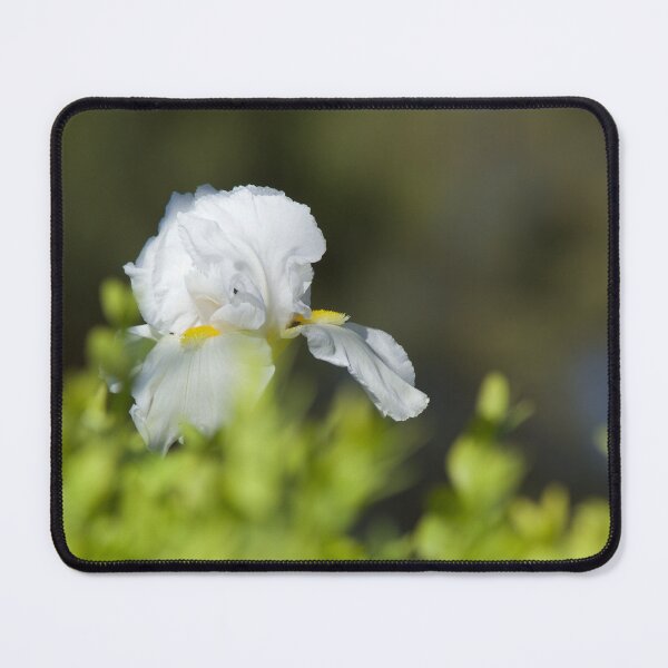Item preview, Iris designed and sold by Kim Chi Thai.