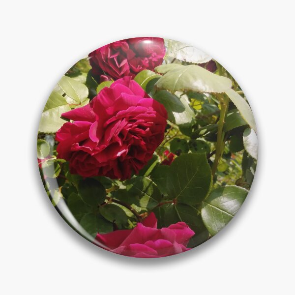 Item preview, Love Is In The Air - Roses From Jardin de la Maison Rose designed and sold by JacquiRose23.