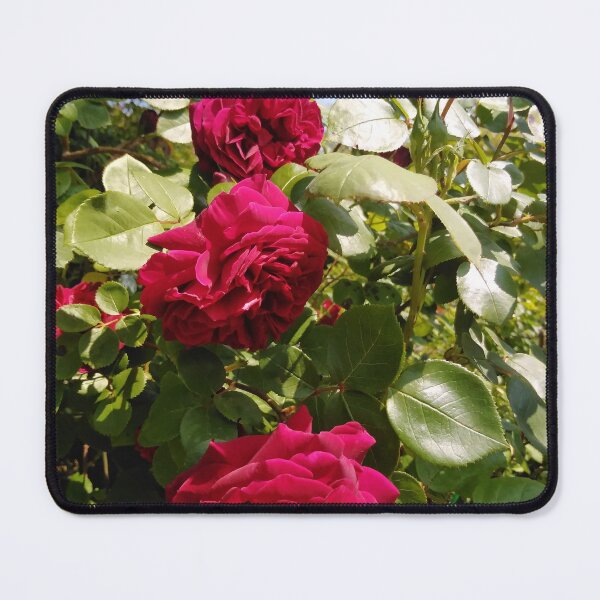 Item preview, Love Is In The Air - Roses From Jardin de la Maison Rose designed and sold by JacquiRose23.