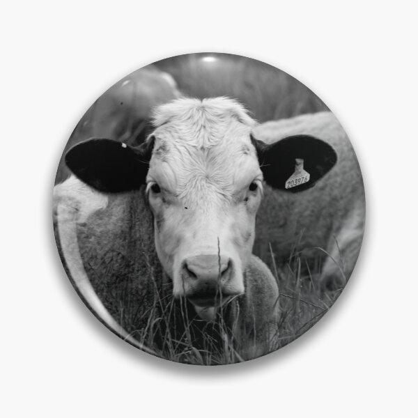 Item preview, Moooooching Around designed and sold by StelleryART.