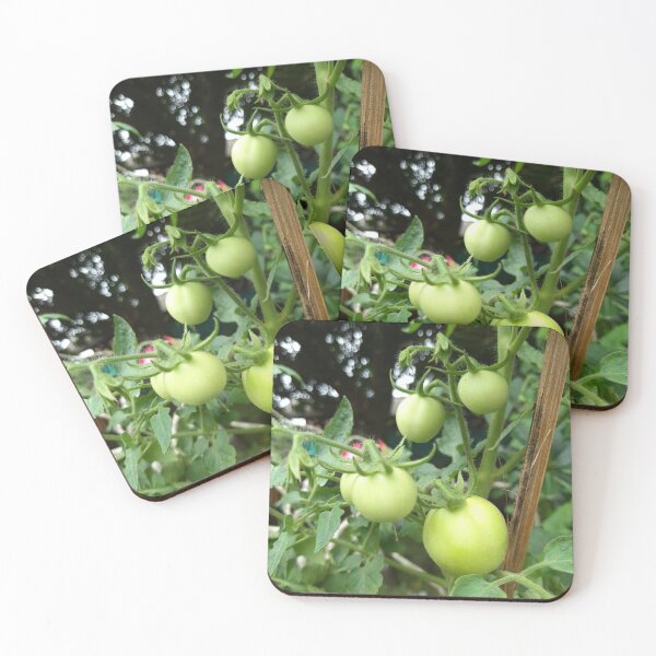 Item preview, Tomatoes Tree designed and sold by sokileri999.
