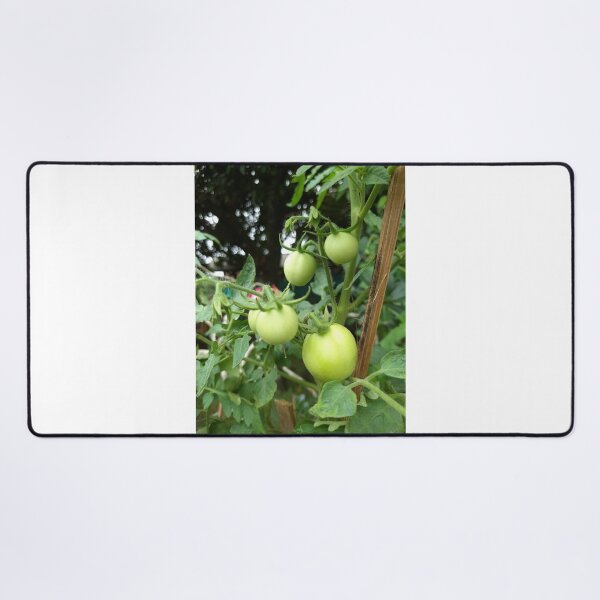 Item preview, Tomatoes Tree designed and sold by sokileri999.