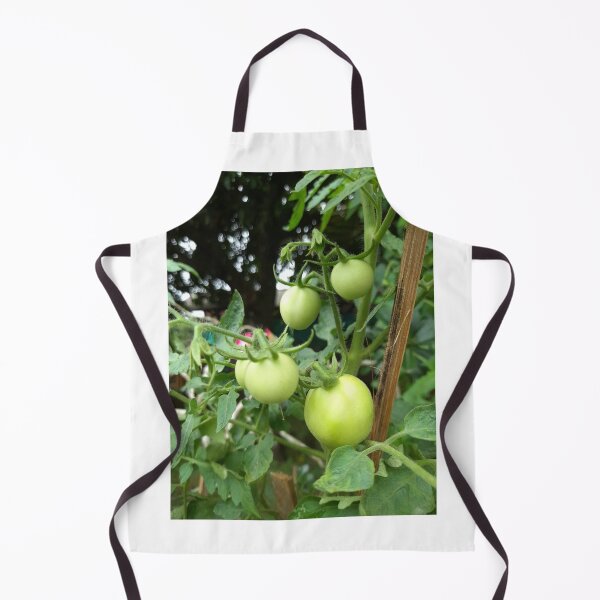 Item preview, Tomatoes Tree designed and sold by sokileri999.