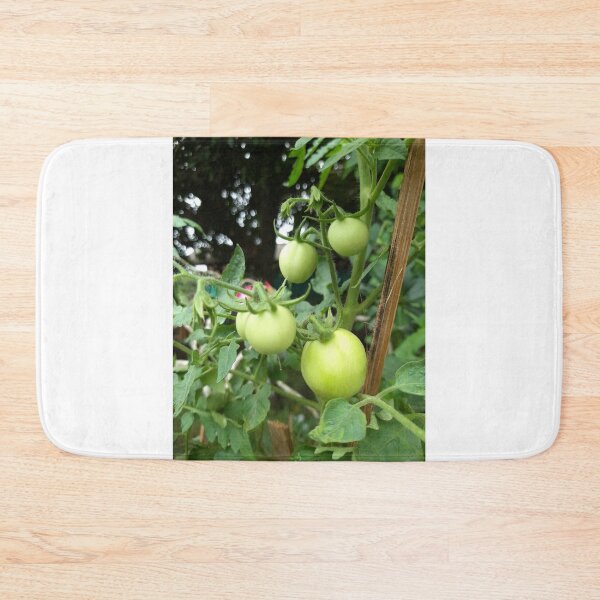 Item preview, Tomatoes Tree designed and sold by sokileri999.