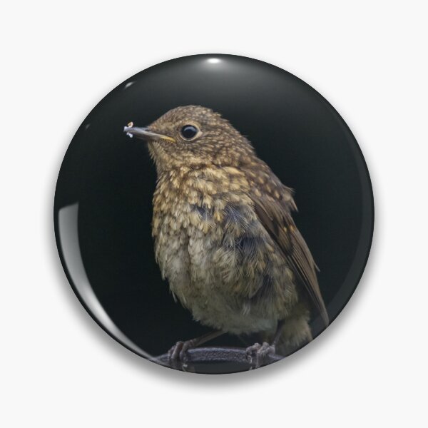 Item preview, Gorgeous baby Robin designed and sold by StelleryART.