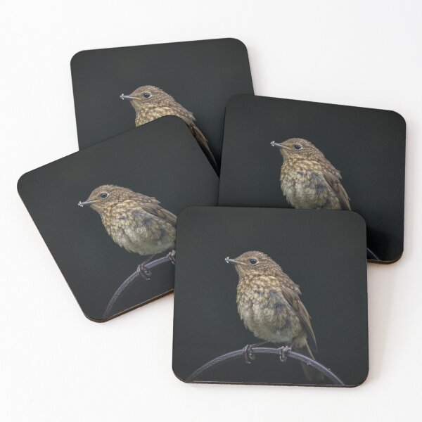 Item preview, Gorgeous baby Robin designed and sold by StelleryART.