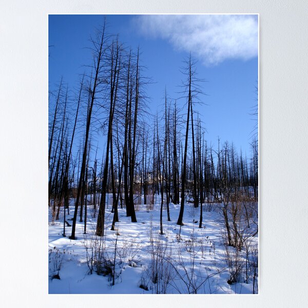 Item preview, Fire And Ice designed and sold by Gregory Ewanowich.