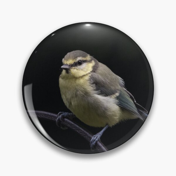 Item preview, Lone Baby Blue Tit designed and sold by StelleryART.