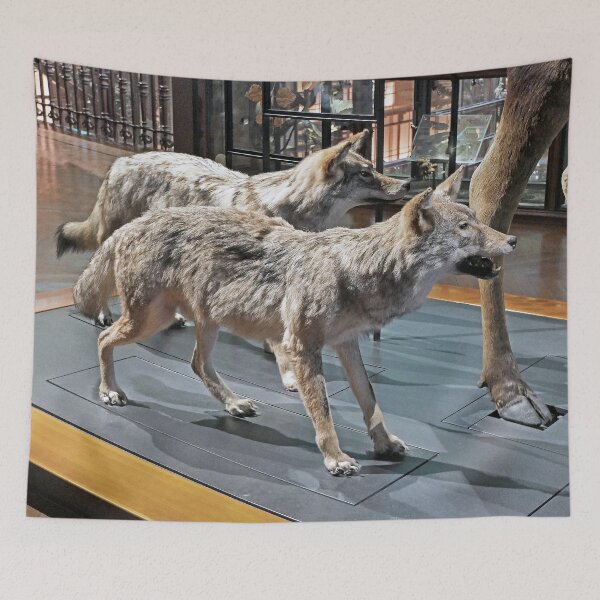 Item preview, vr 3447 / finition 2023 - 16 - " Jardin des Plantes Paris " La Grande évolution "  - Okaio Créations  Olavia-Olao designed and sold by o.okaïo.