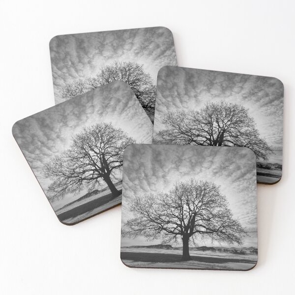 Item preview, Lone tree designed and sold by stefavram.