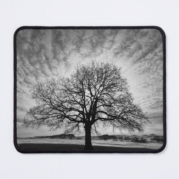 Item preview, Lone tree designed and sold by stefavram.