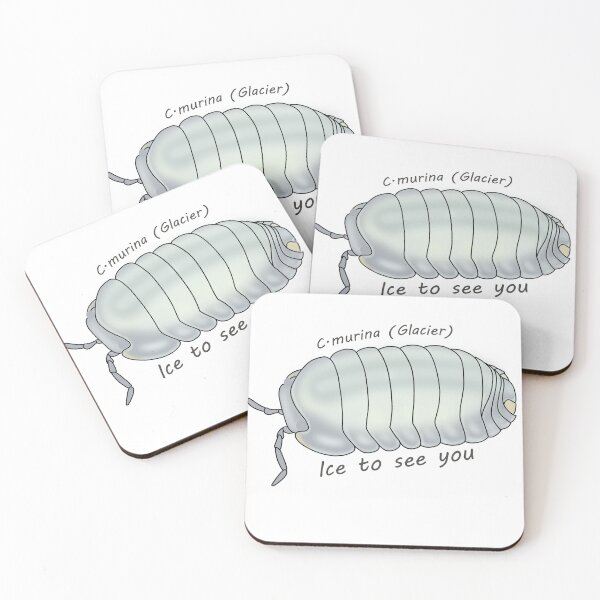 Item preview, C.murina (glacier) Ice too see you designed and sold by Binkykun.