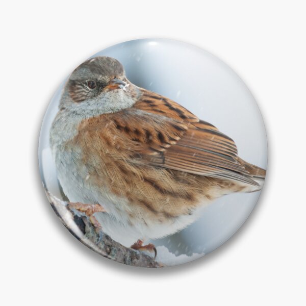 Item preview, winter bird scene designed and sold by AndrewJonesFoto.