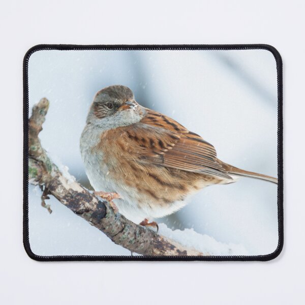 Item preview, winter bird scene designed and sold by AndrewJonesFoto.
