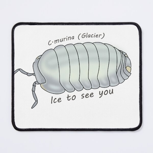 Item preview, C.murina (glacier) Ice too see you designed and sold by Binkykun.