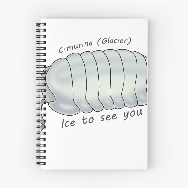 Aperçu de l'œuvre C.murina (glacier) Glace aussi à bientôt créée et vendue par Binkykun.