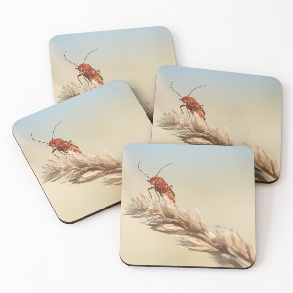 Item preview, Common Red Soldier Beetle designed and sold by Calidris Fotografie Steffi & Ben Köppler.