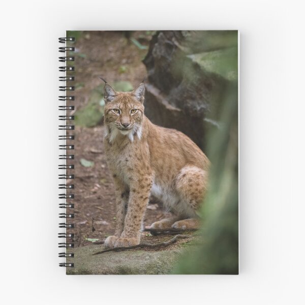 Item preview, Lynx designed and sold by WildEncounters.