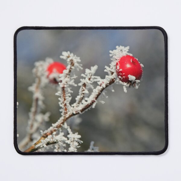 Item preview, Red berries in snow designed and sold by Calidris Fotografie Steffi & Ben Köppler.