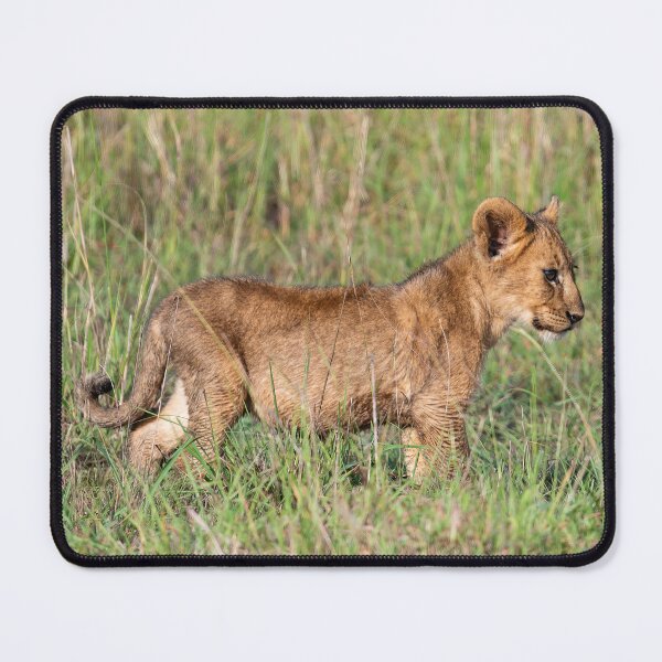 Item preview, Lion Cub designed and sold by Lee Wilson.