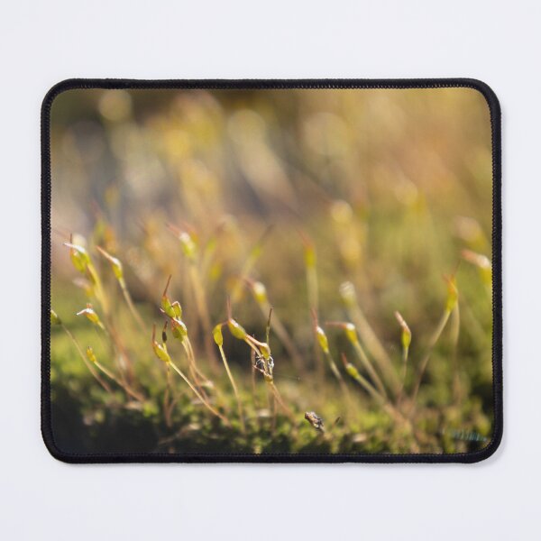 Item preview, Moss with Spore Capsules designed and sold by Calidris Fotografie Steffi & Ben Köppler.