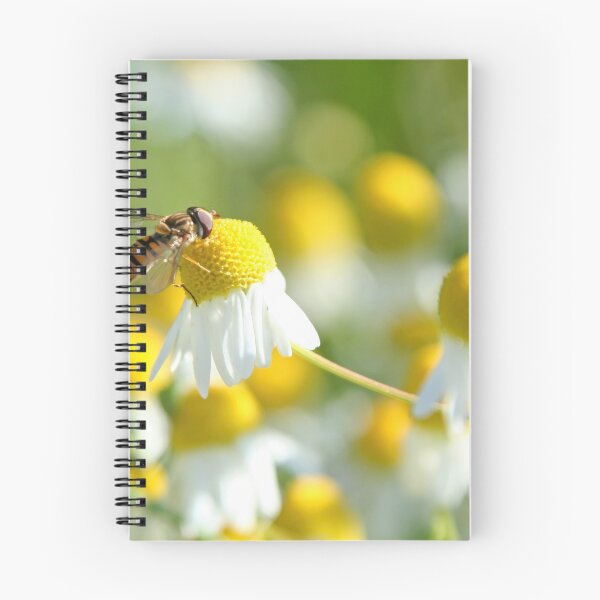 Item preview, Hoverfly on camomile designed and sold by Calidris Fotografie Steffi & Ben Köppler.