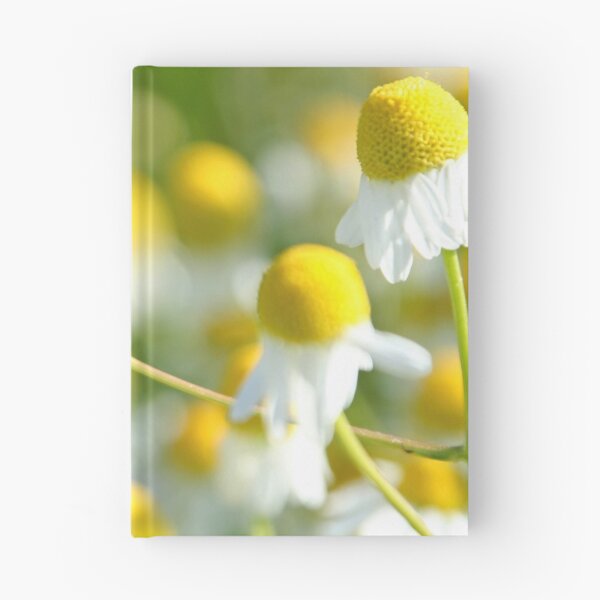 Item preview, Hoverfly on camomile designed and sold by Calidris Fotografie Steffi & Ben Köppler.