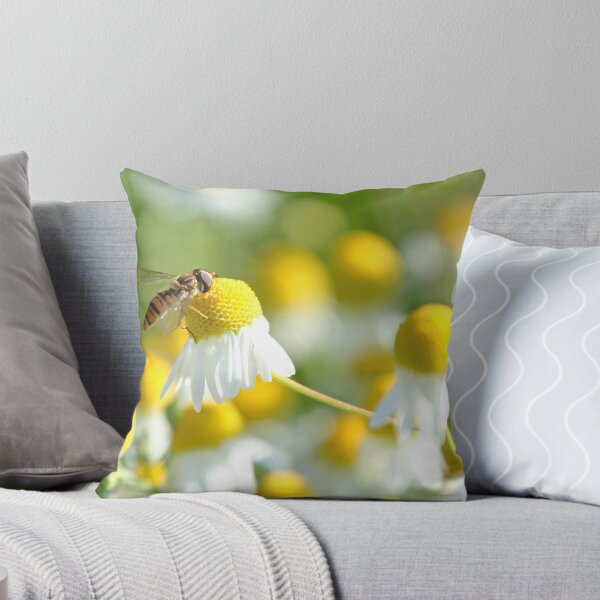 Item preview, Hoverfly on camomile designed and sold by Calidris Fotografie Steffi & Ben Köppler.