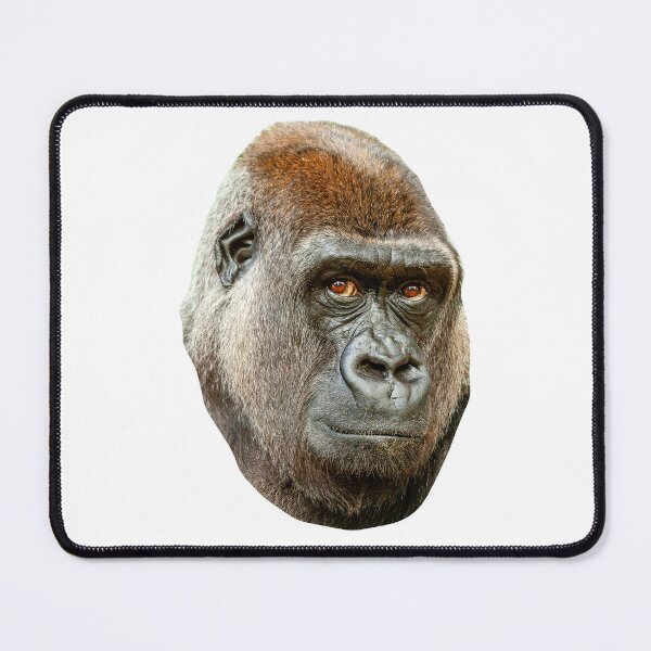 Item preview, Rhre Eyes Have it designed and sold by Dalyndigital Photography.