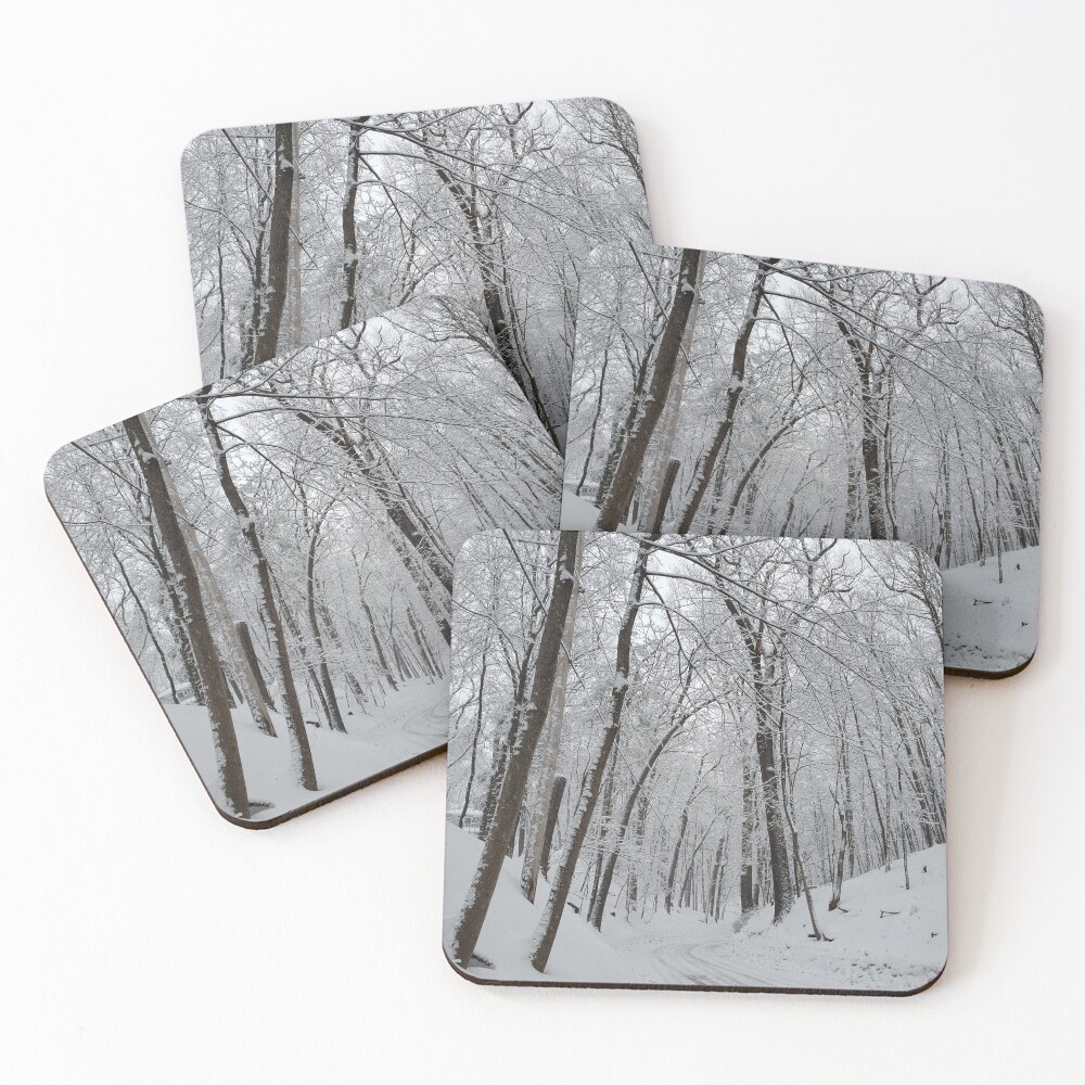 Item preview, Coasters (Set of 4) designed and sold by OutJsWindow.