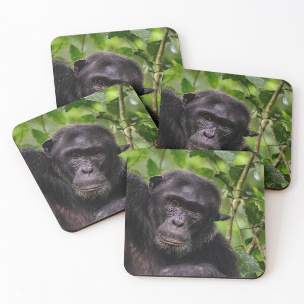 Item preview, Male Chimpanzee Portrait designed and sold by Lee Wilson.