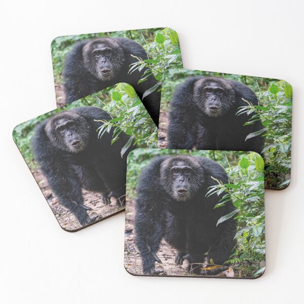 Item preview, Alpha Chimpanzee designed and sold by Lee Wilson.