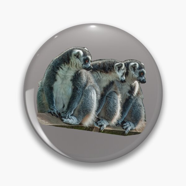 Item preview, The 3 Amigos designed and sold by Dalyndigital Photography.