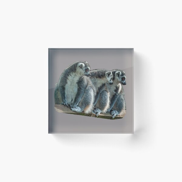 Item preview, The 3 Amigos designed and sold by Dalyndigital Photography.