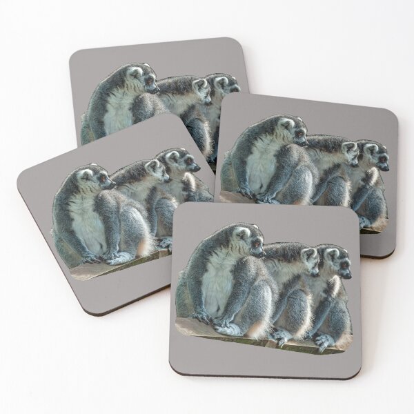 Item preview, The 3 Amigos designed and sold by Dalyndigital Photography.